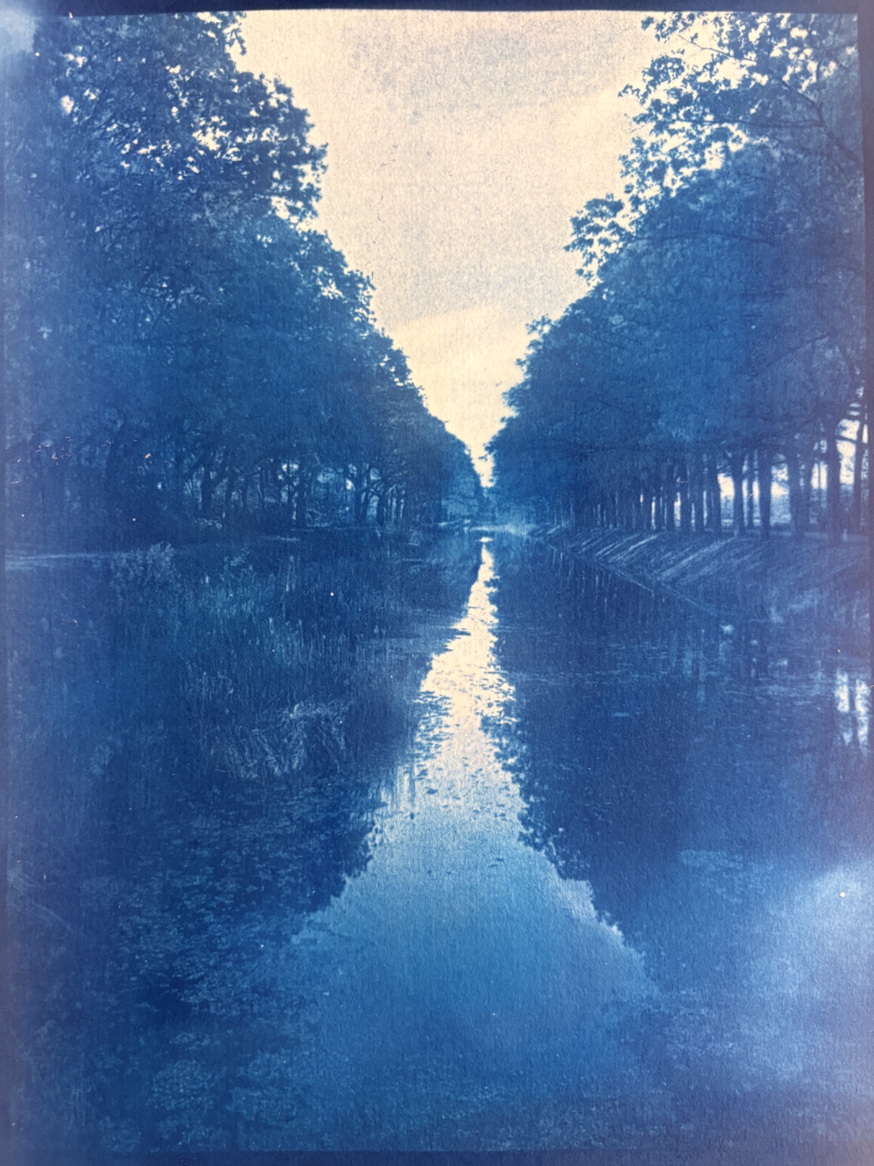 Blue Memories: Dein Foto als Cyanotypie — 5