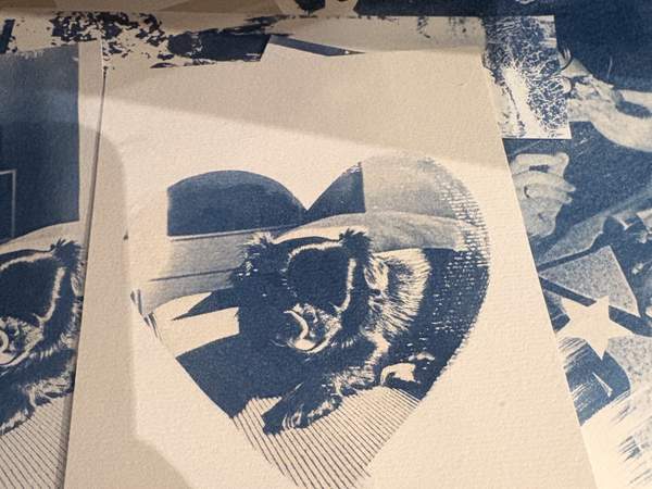 Blue Memories: Your Photo as a Cyanotype — 4